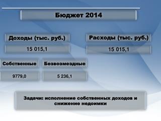 Бюджет 2014