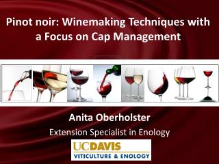 Anita Oberholster Extension Specialist in Enology