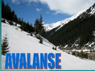 AVALANSE