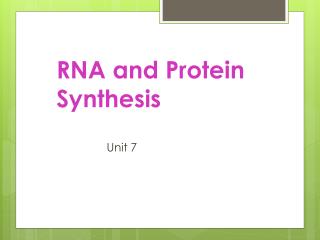 RNA and Protein Synthesis