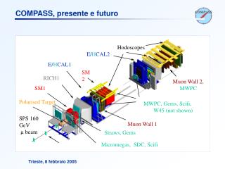 Scifi, Silicon