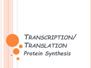 Transcription/ Translation