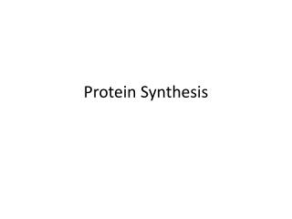 Protein Synthesis