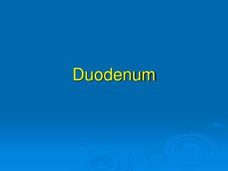 Duodenum