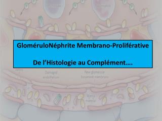 GloméruloNéphrite Membrano -Proliférative De l’Histologie au Complément….
