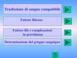 Trasfusione di sangue compatibile