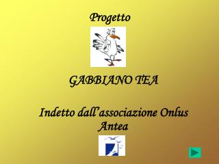 Progetto