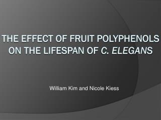 The Effect of Fruit polyphenols on the lifespan of c. elegans