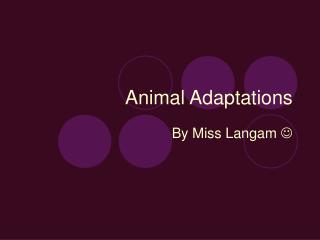 Animal Adaptations