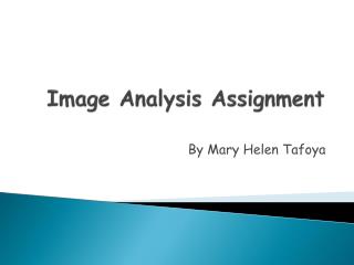 Image Analysis Assignment