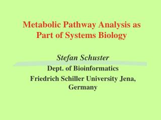 Metabolic Pathway Analysis as Part of Systems Biology