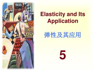 Elasticity and Its Application 弹性及其应用