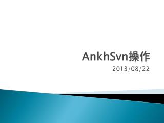 AnkhSvn 操作