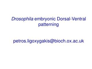Drosophila embryonic Dorsal-Ventral patterning petros.ligoxygakis@bioch.ox.ac.uk