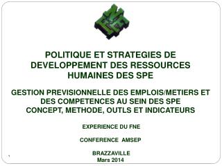 POLITIQUE ET STRATEGIES DE DEVELOPPEMENT DES RESSOURCES HUMAINES DES SPE