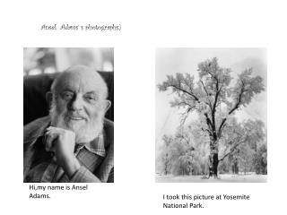 Ansel Adams’ s photographs;)