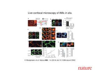 K Westphalen et al. Nature 000 , 1-4 (2014) doi:10.1038/nature12902