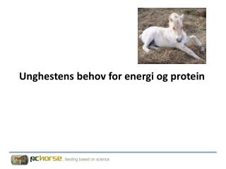 Unghestens behov for energi og protein