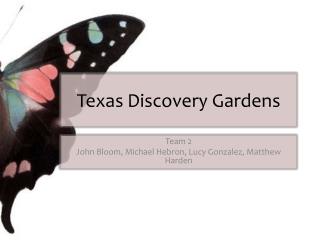 Texas Discovery Gardens