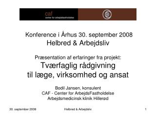 Konference i Århus 30. september 2008 Helbred &amp; Arbejdsliv Præsentation af erfaringer fra projekt: