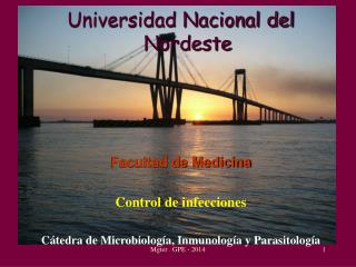 Universidad Nacional del Nordeste Facultad de Medicina Control de infecciones