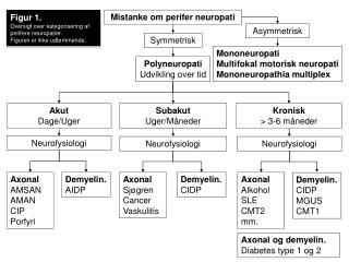 Polyneuropati Udvikling over tid