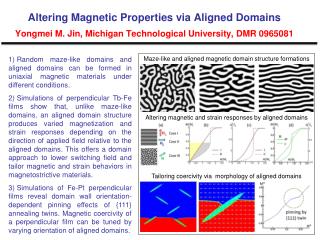 Tailoring coercivity via morphology of aligned domains