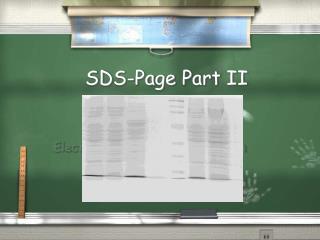 SDS-Page Part II