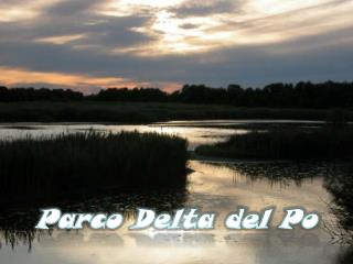 Parco Delta del Po