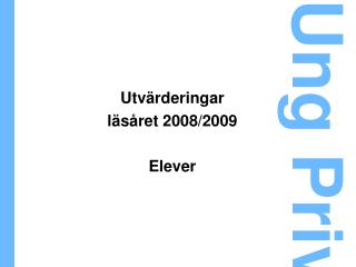 Utvärderingar läsåret 2008/2009 Elever