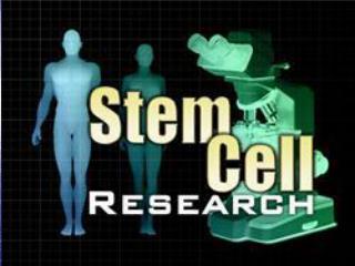 STEM CELL RESEARCH