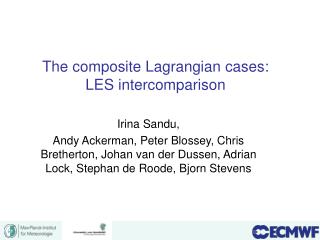 The composite Lagrangian cases: LES intercomparison