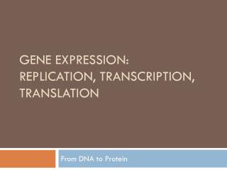 Gene Expression: Replication, Transcription, Translation