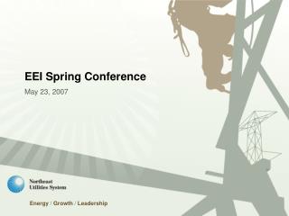 EEI Spring Conference May 23, 2007