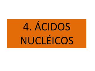 4. ÁCIDOS NUCLÉICOS