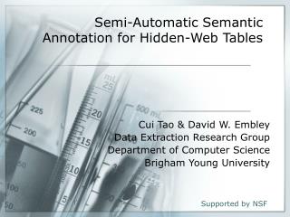 Semi-Automatic Semantic Annotation for Hidden-Web Tables