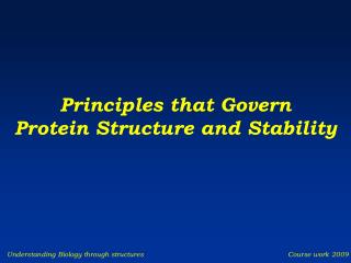 Principles that Govern Protein Structure and Stability