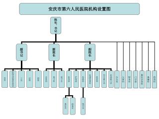 安庆市第六人民医院机构设置图