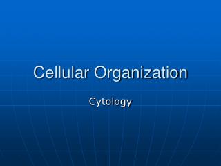 Cellular Organization