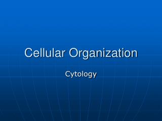 Cellular Organization