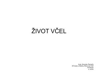 ŽIVOT VČEL