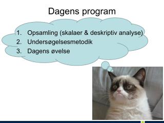 Dagens program