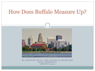 How Does Buffalo Measure Up?