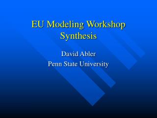 EU Modeling Workshop Synthesis