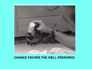 CHANCE FAVORS THE WELL PREPARED.