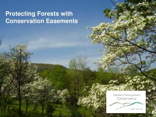 Protecting Forests with Conservation Easements