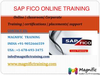 SAP FICO ONLINE TRAINING IN USA
