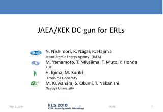 JAEA/KEK DC gun for ERLs