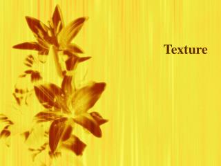 Texture