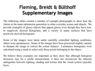 Fleming, Breidt &amp; Bülthoff Supplementary Images